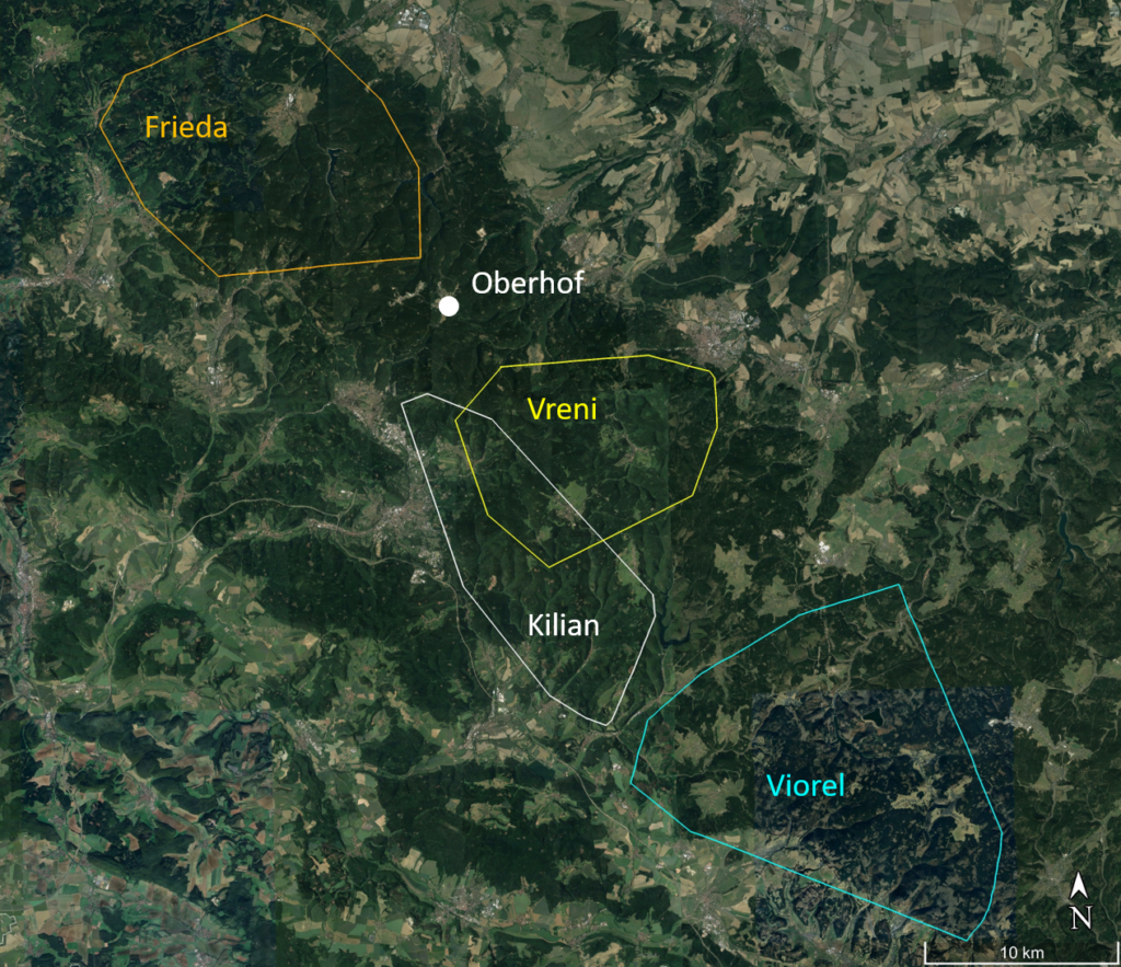 Diese Karte zeigt ein Satellitenbild des Thüringer Wald, auf dem die Umrisse der Reviere der vier bislang im Projekt ausgewilderten Luchse zu sehen ist